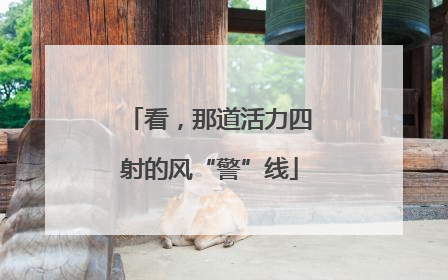 看，那道活力四射的风“警”线