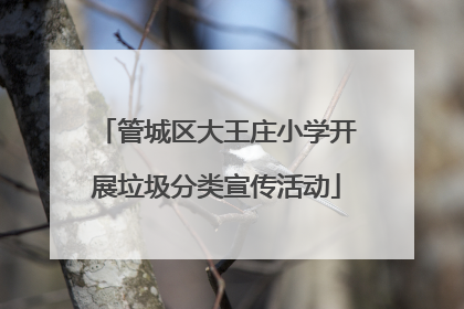 管城区大王庄小学开展垃圾分类宣传活动