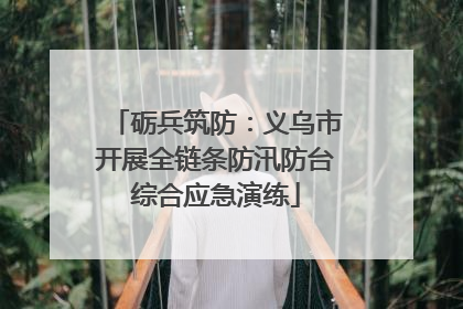 砺兵筑防：义乌市开展全链条防汛防台综合应急演练