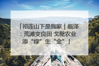 祁连山下是我家｜临泽：荒滩变良田 戈壁农业添“绿”生“金”