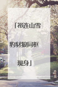 祁连山雪豹豺狼同框现身