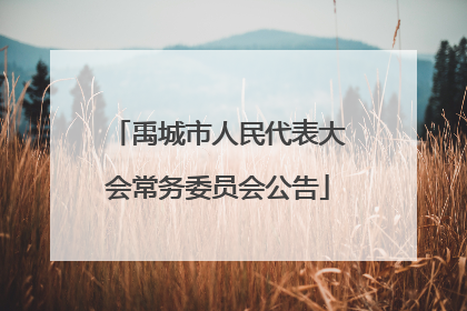 禹城市人民代表大会常务委员会公告