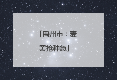 禹州市：麦罢抢种急