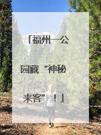 福州一公园藏“神秘来客”！