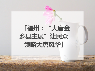 福州：“大唐金乡县主展”让民众领略大唐风华
