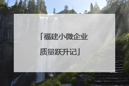 福建小微企业质量跃升记