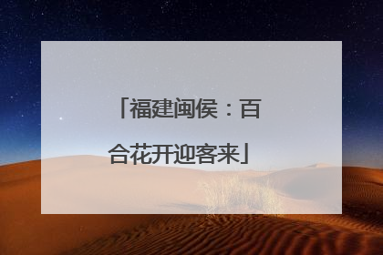 福建闽侯：百合花开迎客来