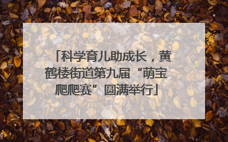 科学育儿助成长，黄鹤楼街道第九届“萌宝爬爬赛”圆满举行