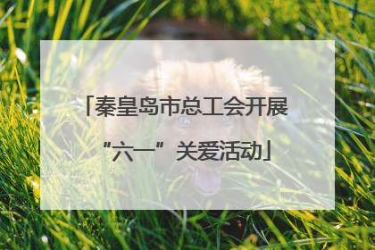 秦皇岛市总工会开展“六一”关爱活动