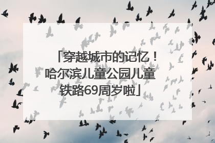 穿越城市的记忆！哈尔滨儿童公园儿童铁路69周岁啦