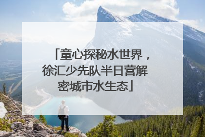 童心探秘水世界，徐汇少先队半日营解密城市水生态