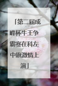 第二届成峰杯牛王争霸赛在科左中旗激情上演
