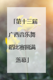 第十三届广西音乐舞蹈比赛圆满落幕