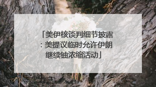 美伊核谈判细节披露：美提议临时允许伊朗继续铀浓缩活动