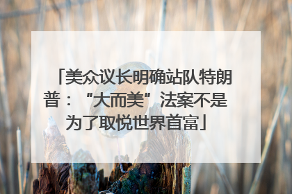 美众议长明确站队特朗普：“大而美”法案不是为了取悦世界首富