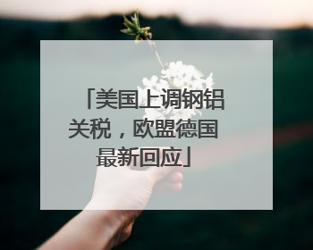 美国上调钢铝关税，欧盟德国最新回应