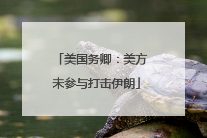 美国务卿：美方未参与打击伊朗