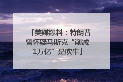 美媒爆料：特朗普曾怀疑马斯克“削减1万亿”是吹牛