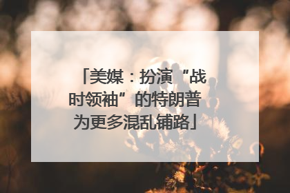 美媒：扮演“战时领袖”的特朗普为更多混乱铺路