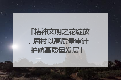 精神文明之花绽放，周村以高质量审计护航高质量发展
