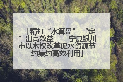 精打“水算盘” “定”出高效益——宁夏银川市以水权改革促水资源节约集约高效利用