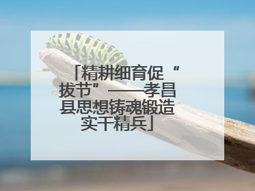精耕细育促“拔节”——孝昌县思想铸魂锻造实干精兵