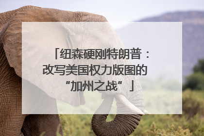 纽森硬刚特朗普：改写美国权力版图的 “加州之战”