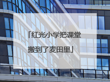 红光小学把课堂搬到了麦田里