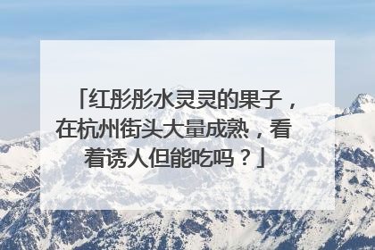 红彤彤水灵灵的果子，在杭州街头大量成熟，看着诱人但能吃吗？