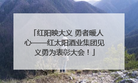 红阳映大义 勇者暖人心——红太阳酒业集团见义勇为表彰大会！