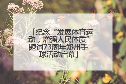 纪念“发展体育运动，增强人民体质”题词73周年郑州手球活动启幕