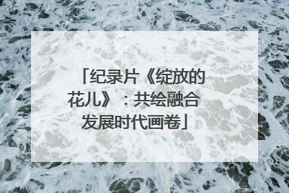 纪录片《绽放的花儿》：共绘融合发展时代画卷