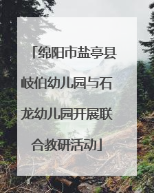 绵阳市盐亭县岐伯幼儿园与石龙幼儿园开展联合教研活动