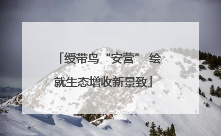 绶带鸟“安营” 绘就生态增收新景致