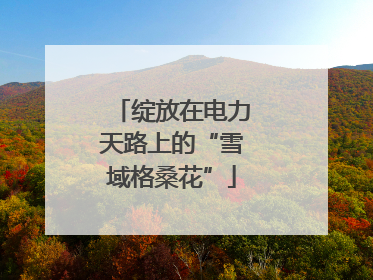绽放在电力天路上的“雪域格桑花”