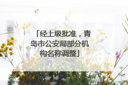 经上级批准，青岛市公安局部分机构名称调整