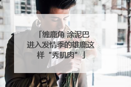 缠鹿角 涂泥巴 进入发情季的雄鹿这样“秀肌肉”