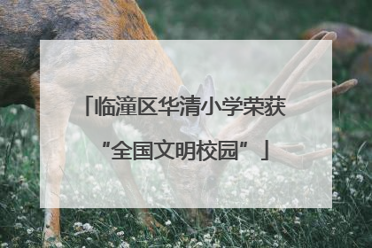 临潼区华清小学荣获“全国文明校园”
