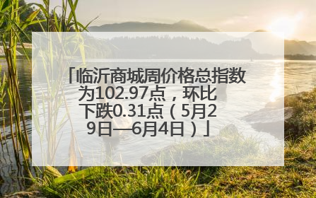 临沂商城周价格总指数为102.97点，环比下跌0.31点（5月29日—6月4日）