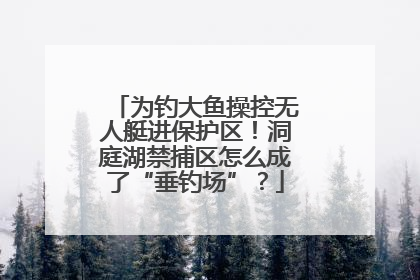 为钓大鱼操控无人艇进保护区！洞庭湖禁捕区怎么成了“垂钓场”？
