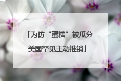 为防“蛋糕”被瓜分 美国罕见主动推销