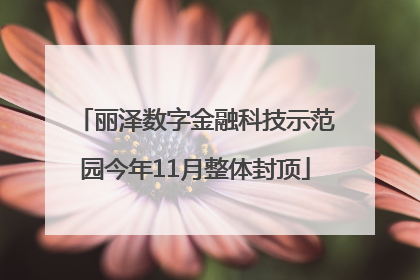 丽泽数字金融科技示范园今年11月整体封顶