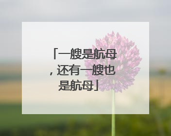 一艘是航母，还有一艘也是航母