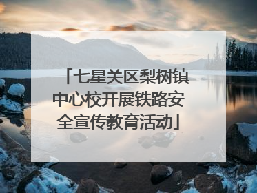 七星关区梨树镇中心校开展铁路安全宣传教育活动
