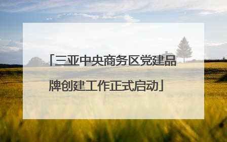 三亚中央商务区党建品牌创建工作正式启动