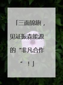 三面锦旗，见证振森能源的“非凡合作”！