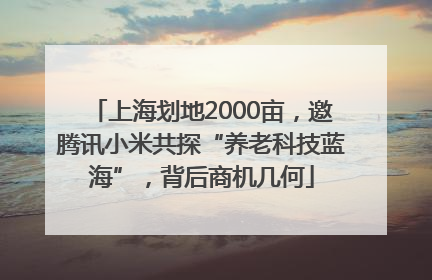 上海划地2000亩，邀腾讯小米共探“养老科技蓝海”，背后商机几何