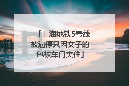 上海地铁5号线被逼停只因女子的包被车门夹住