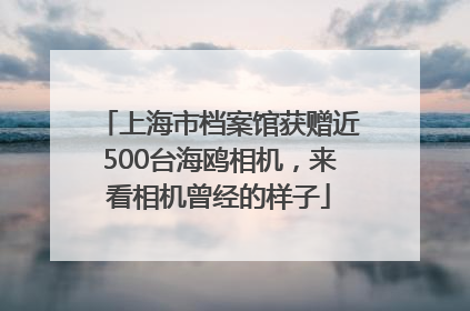 上海市档案馆获赠近500台海鸥相机，来看相机曾经的样子