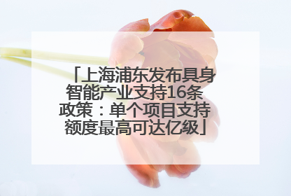 上海浦东发布具身智能产业支持16条政策：单个项目支持额度最高可达亿级